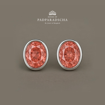 ANNIVERSARY EARRINGS