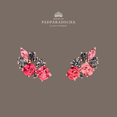 PLEASING EARRINGS