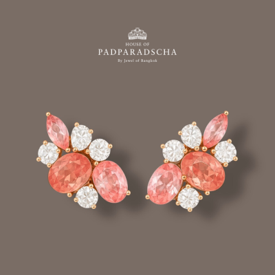 PLEASING EARRINGS