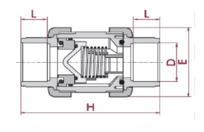 Spring Check valve 2"