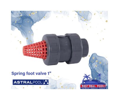 Spring foot valve 1"
