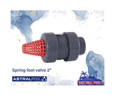Spring foot valve 2"
