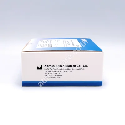 Boson Syphilis (WB/S/P) Strip