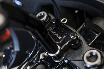 Kraus Motor – T-Rex Pull Back Plate Kraus Motor – T-Rex Pull Back Plate