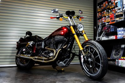 Runstock Öhlins Front End Kit for Harley-Davidson Dyna Dual Disc All Models