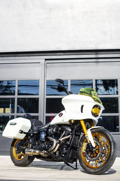 Runstock Öhlins Front End Kit for Harley-Davidson Softail M8 Dual Disc All Models