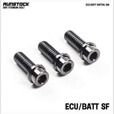Runbolt Bolt Kit for Harley-Davidson M8 – Grade 5 Titanium Hardware (Aircraft-Grade) Runbolt Bolt Kit for Harley-Davidson M8 – Grade 5 Titanium Hardware (Aircraft-Grade)