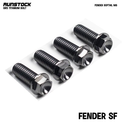 Runbolt Bolt Kit for Harley-Davidson M8 – Grade 5 Titanium Hardware (Aircraft-Grade)