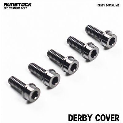 Runbolt Bolt Kit for Harley-Davidson M8 – Grade 5 Titanium Hardware (Aircraft-Grade) Runbolt Bolt Kit for Harley-Davidson M8 – Grade 5 Titanium Hardware (Aircraft-Grade)