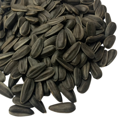 Extra Large Black Sunflower Seeds