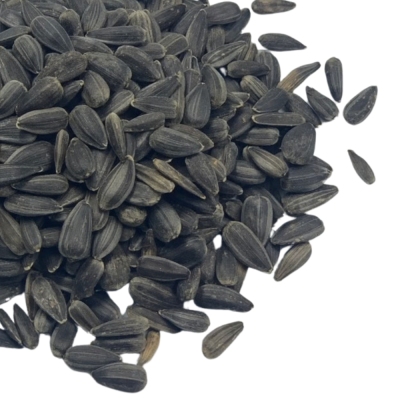 Small Black Sunflower Seeds