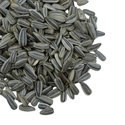 ทานตะวัน ฮังการี