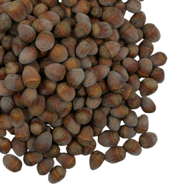 เฮเซลนัท