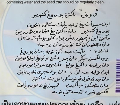 ทีม เขาใหญ่