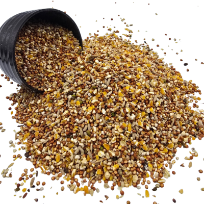 ทีม เขาใหญ่