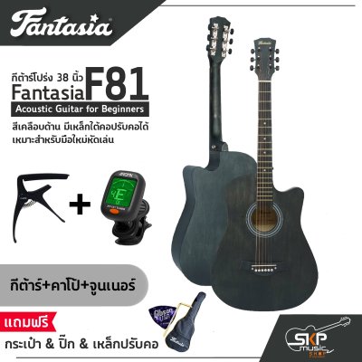 Fantasia F81 Acoustic Guitar