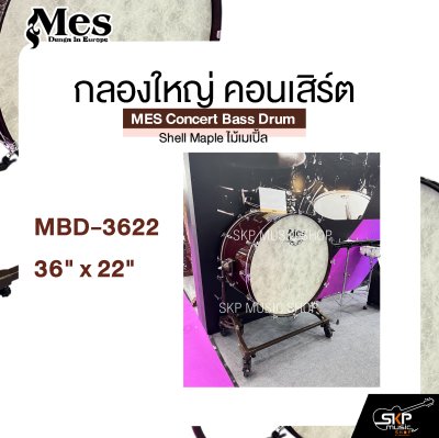 กลองใหญ่ คอนเสิร์ต ไม้เมเปิ้ล MES Concert Bass Drum , Shell Maple