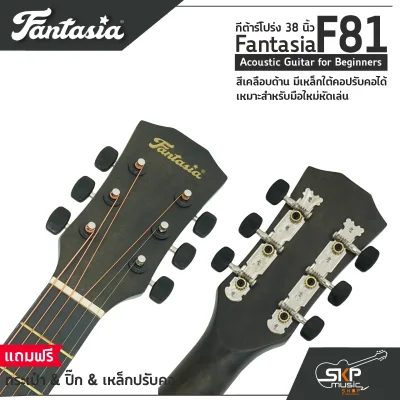 Fantasia F81 Acoustic Guitar