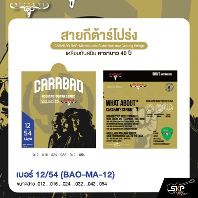 สายกีต้าร์โปร่ง เคลือบกันสนิม คาราบาว 40 ปี CARABAO BAO-MA Acoustic Guitar Anti-rust Coating Strings