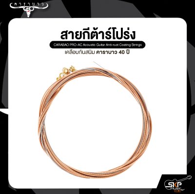 สายกีต้าร์โปร่ง เคลือบกันสนิม คาราบาว 40 ปี CARABAO PRO-AC Acoustic Guitar Anti-rust Coating Strings