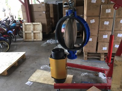 Butterfly valve with actuator AP10