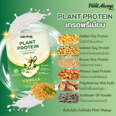 Plant Always Dietary Supplement Product Plant Protein Vanilla Flavour แพลนท์ ออลเวย์ โปรตีนพืช