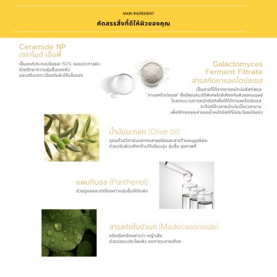 Graymelin Galactocera Re-Turn Cream (15ml) ครีมบำรุงผิวสูตรเข้มข้น