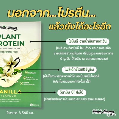Plant Always Dietary Supplement Product Plant Protein Vanilla Flavour แพลนท์ ออลเวย์ โปรตีนพืช