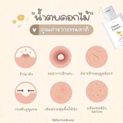 Seño Flower Essence ซินญอ น้ำตบดอกไม้ ลดสิว  กระชับรูขุมขน ผิวเปล่งปลั่งสดใส