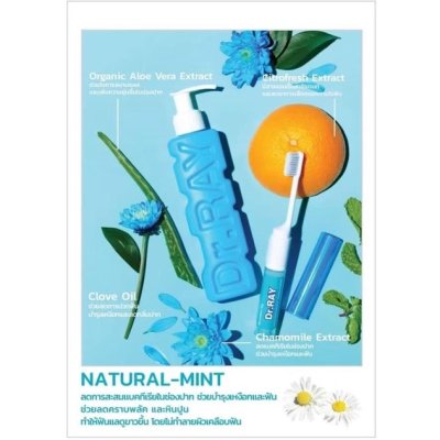 Dr.Ray Portable set Natural Mint ดอกเตอร์ เรย์ พอร์ตทิเบิล ยาสีฟัน+แปรงฟันขนาดพกพา
