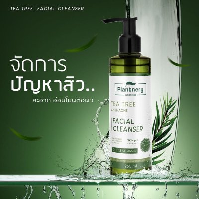Plantnery Tea Tree Facial Cleanser (250ml) แพลนเนอรี่ เจลล้างหน้า สูตรลดสิว ควบคุมความมัน กระชับรูขุมขน