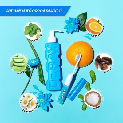 Dr.Ray Portable set Natural Mint ดอกเตอร์ เรย์ พอร์ตทิเบิล ยาสีฟัน+แปรงฟันขนาดพกพา