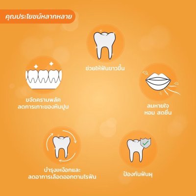 Dr.Ray Portable set Citrus Mint ดอกเตอร์ เรย์ พอร์ตทิเบิล เซ็ท ยาสีฟัน+แปรงฟันขนาดพกพา