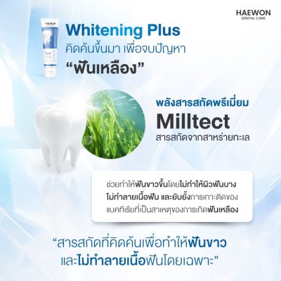 Haewon Whitening Plus Toothpaste (80g) ไวท์เทนนิ่งพลัส ทูธเพสต์