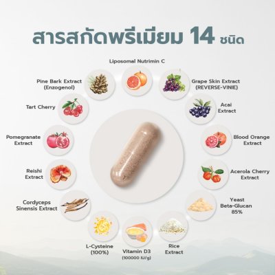 Earthever Enzo Plus (1 กล่องมี 30 Capluses) เอนโซ พลัส ผลิตภัณฑ์เสริมอาหารก่อนนอน