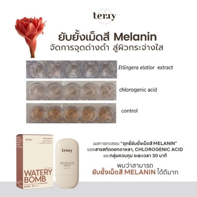 TERRY Watery Bomb Anti Acne Hybrid-Fluid Sunscreen SPF50+ PA++++ (20ml ขวดเล็ก) ครีมกันแดด