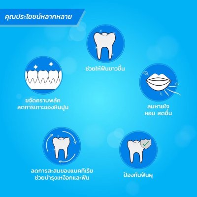 Dr.Ray Portable set Natural Mint ดอกเตอร์ เรย์ พอร์ตทิเบิล ยาสีฟัน+แปรงฟันขนาดพกพา