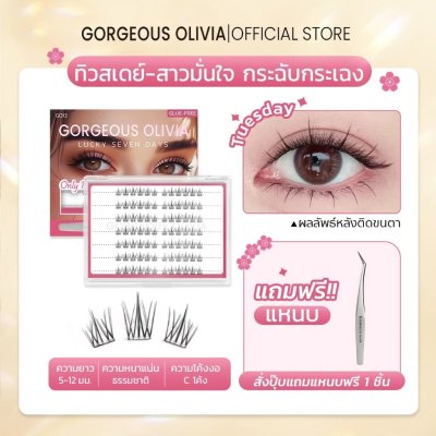 Gorgeous Olivia Lucky 7 Days (+ Tweezers) กรอเจียส โอลิเวีย โชคดี 7 สี ซีรีส์ ขนตาปลอมไม่ใช้กาว