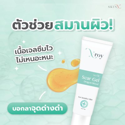 SkinX X-Roy Scar Gel (10g) สกินเอ็กซ์ เจลลดรอย