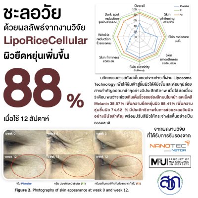 D.Dee Advanced Revitalizing Cream (15g) ดีดี ครีมฟิลเลอร์