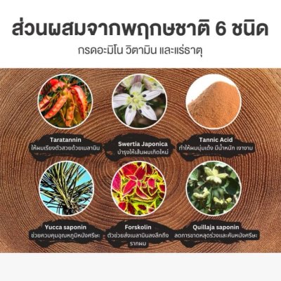 Suna Scalp Essence Double Black (100ml) ซูน่า เซรั่มแก้ผมหงอก ปลูกผมใหม่ ลดผมร่วง บำรุงผม ส่วนผสมจากธรรมชาติ