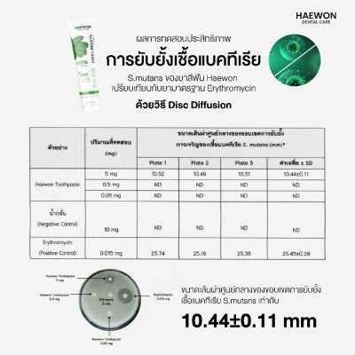 Haewon Fresh Breath Toothpaste (80g) เฟรชเบรธ ทูธเพสต์