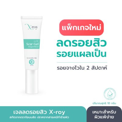 SkinX X-Roy Scar Gel (10g) สกินเอ็กซ์ เจลลดรอย