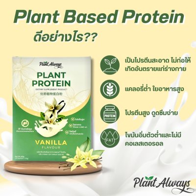 Plant Always Dietary Supplement Product Plant Protein Vanilla Flavour แพลนท์ ออลเวย์ โปรตีนพืช