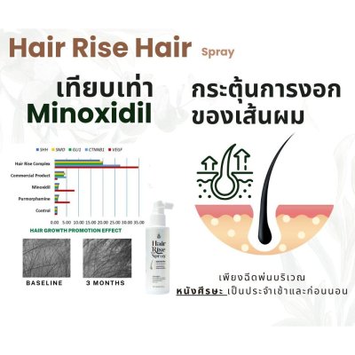 Hair Rise Hair Spray (100ml) แฮร์ไรส์ สเปรย์บำรุงเส้นผมและหนังศีรษะ