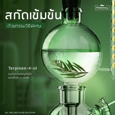 Plantnery Tea Tree Facial Cleanser (250ml) แพลนเนอรี่ เจลล้างหน้า สูตรลดสิว ควบคุมความมัน กระชับรูขุมขน
