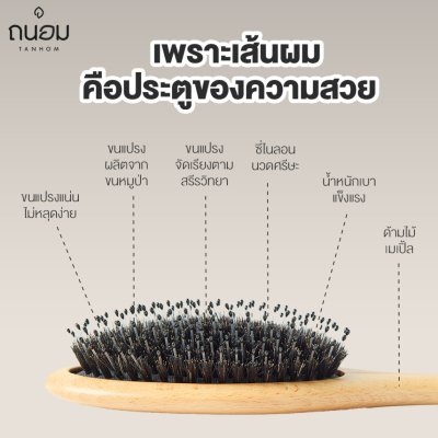 Tanhom Boar Bristle Brush ถนอม หวีขนหมูป่าแท้
