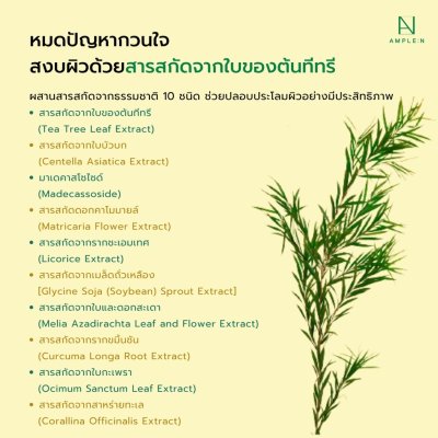  Ample:N Acne Shot Ampoule (30ml) เซรั่มรักษาสิว ช่วยลดอาการอักเสบ คืนความยืดหยุ่นผิว