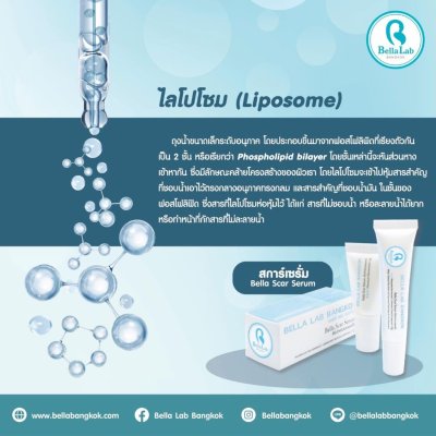 Bella Lab Scar Serum สการ์ซีรั่ม