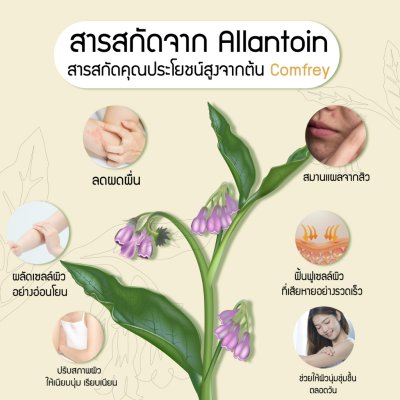 Terra Pafe Comfrey Extract Herbal Balm (7g) เทอร่า พาเฟ่ บาล์มคอมเฟรย์อโรม่า บำรุงผิว ลดอาการคัน